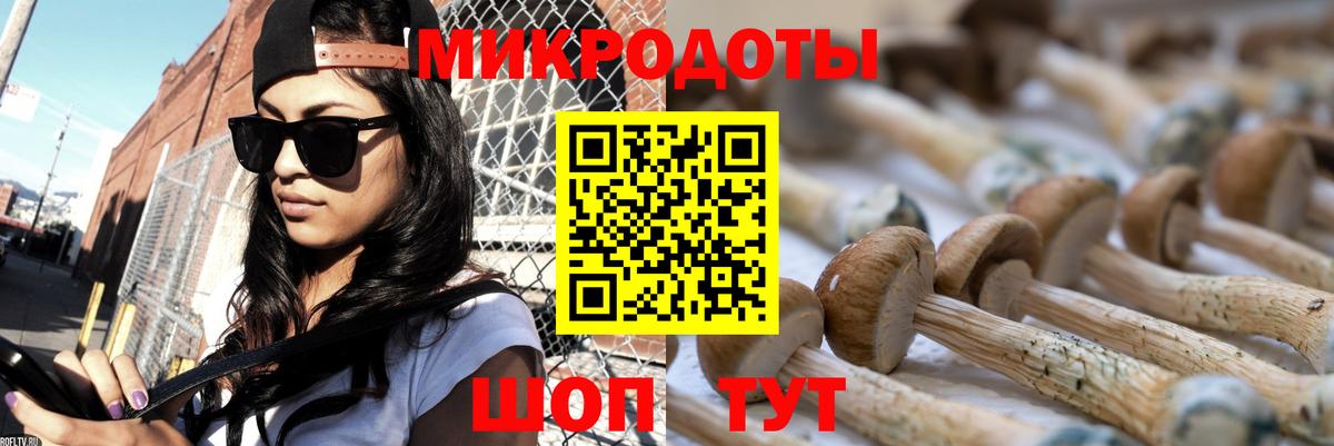 Зеленогорск  Псилоцибиновые грибы GOLDEN TEACHER  Вход с VPN  Псилоцибиновые грибы мухоморы 